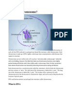 Genes and Chromosomes