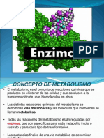 ENZIMAS