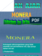 Monera, Klasifikasi Dan Peranannya