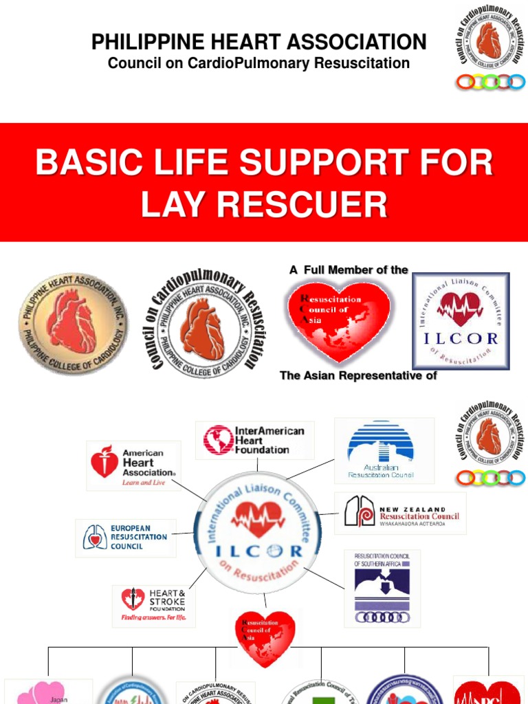 Basic Life Support For Lay Rescuer Title PDF Cardiopulmonary