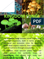 Kingdom Fungi: Classification and Characteristics