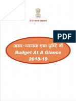 BudgetAtaGlance2018 19full