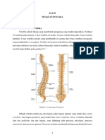 Anatomi Vertebra dan Spondilitis Tuberkulosis