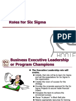 05 Roles For Six Sigma
