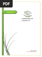 Mathematics XII - Exercise 1.2: Relations and Functions