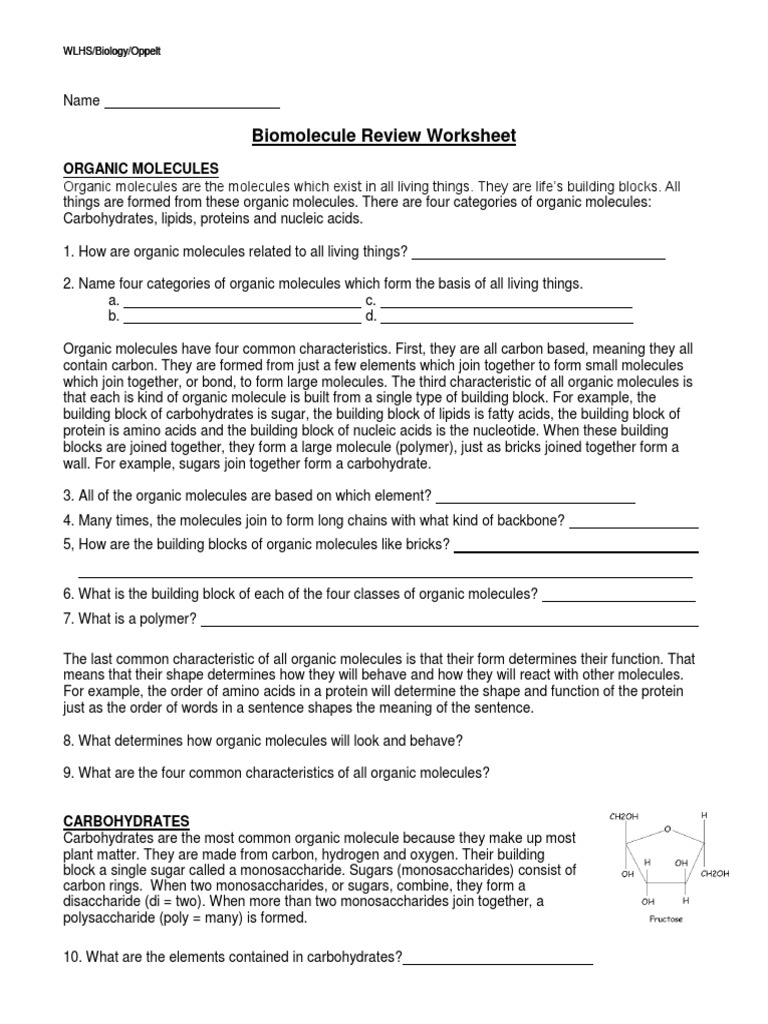 bio-molecule-review-worksheet-pdf-nucleotides-carbohydrates