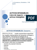 Activos Intangibles y Llave PDF