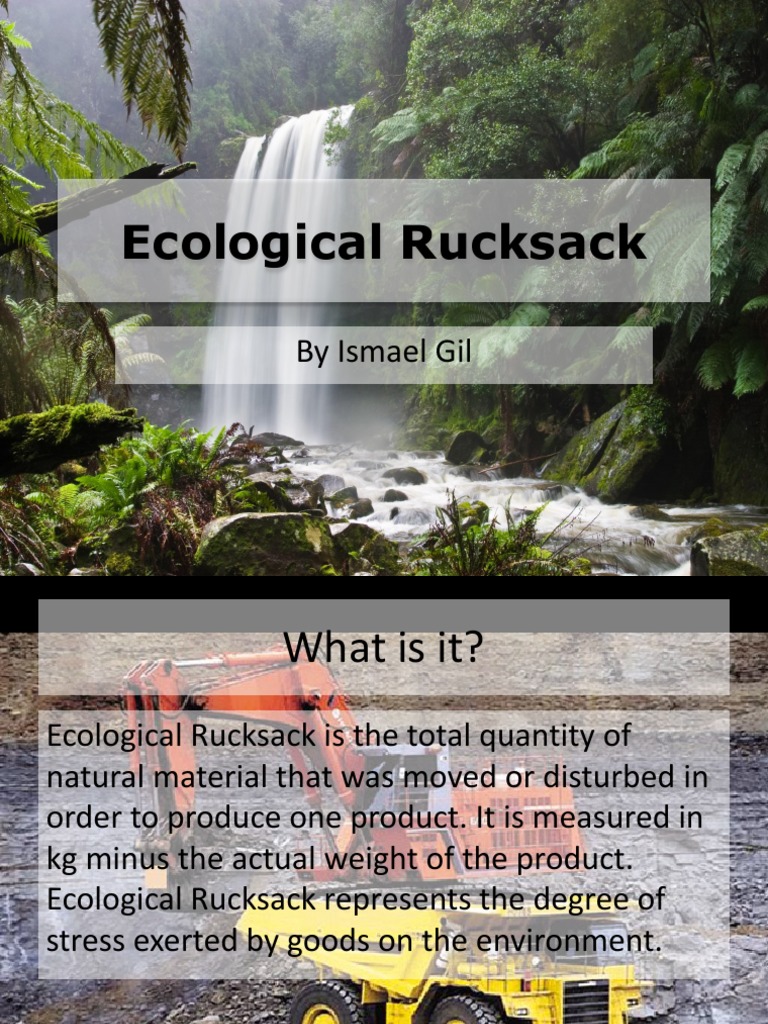 Understanding Ecological Rucksack | PDF | Ecosystem | Natural Environment