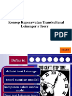 4 Leiningers Teory PDF