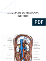 Sistema de La Vena Cava Inferior