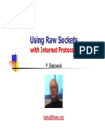 rawsockets01.FunctionsExamples.pdf