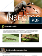 04 - Biología de Los Insectos