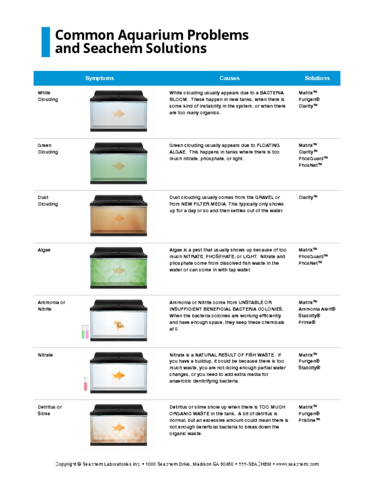 View of Common Aquarium Problems and Seachem Solutions | PDF | Aquarium ...