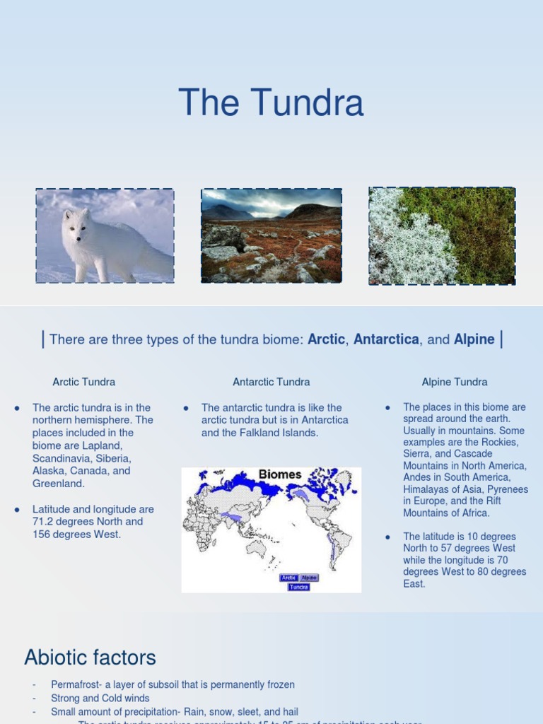 arctic-tundra-abiotic-factors