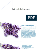 Beneficios de La Lavanda