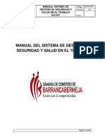 Manual Sistema de Gestion de Seguridad y PDF