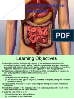 Chapter 6: Nutrition in Humans