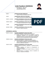 CV Jorge Pajuelo 2019