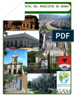 2010 Agenda Ambiental Del Municipio de Honda