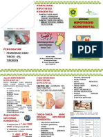 Leaflet Hipo Kong