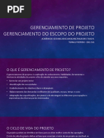 Gerenciamento de Projetos