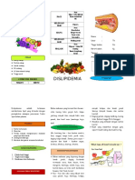 Leaflet Dislipidemia