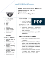 Ejemplo de Curriculum Vitae