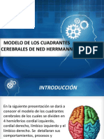 Modelo de Los Cuadrantes Cerebrales de Hermnn