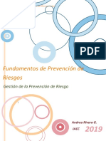 Prevencion de Riesgo