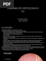 Lâminas de Histologia II p2