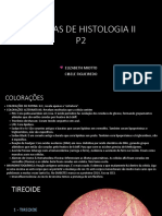 Lâminas de Histologia II p2