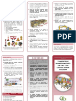 folleto vial.pdf