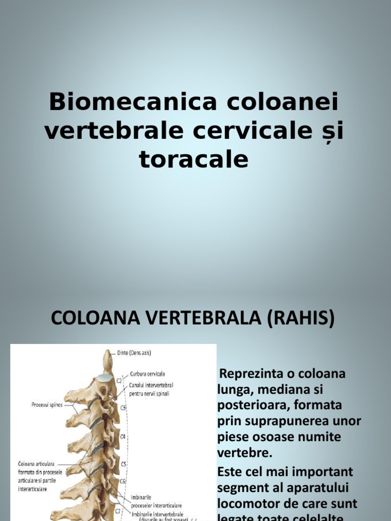 Biomecanica Coloanei Vertebrale Cervicale Si Toracale | PDF