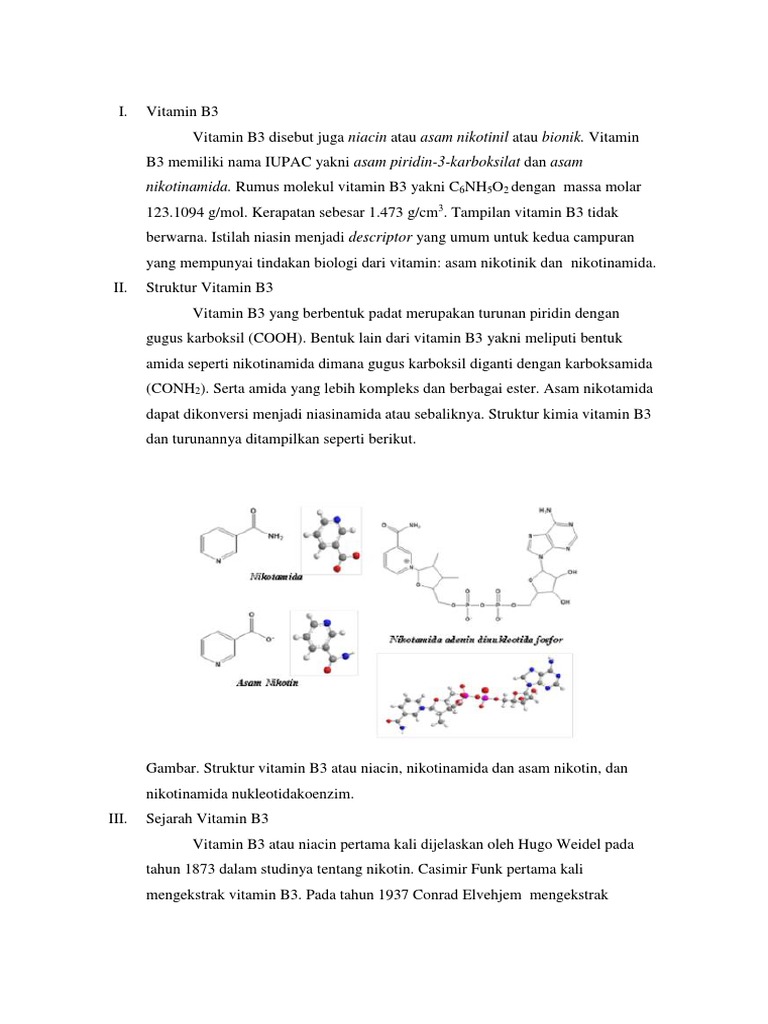 Vitamin B3 PDF
