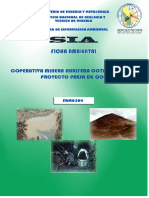 Ficha Ambiental Colas PDF