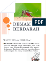 Demam Berdarah