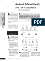 Ayudas de La Deambulacion PDF