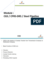 331721667-2-1-CPRS-DRS-CGS-Steel-Pipeline.pdf