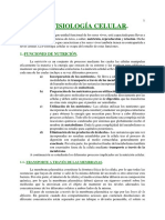 tema 012.pdf
