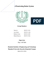 Ali Report PDF