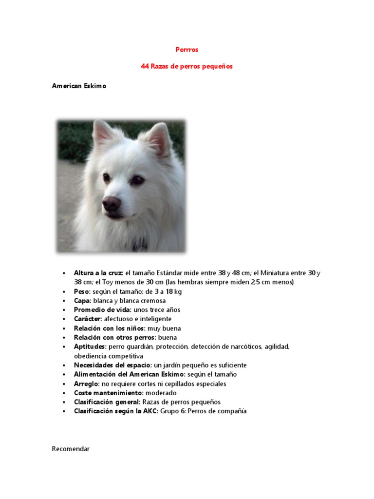 Perros | PDF | Terriers | Perros, image size:768x1024