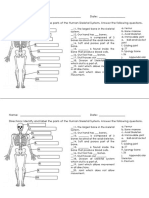 Skeletal System Quiz