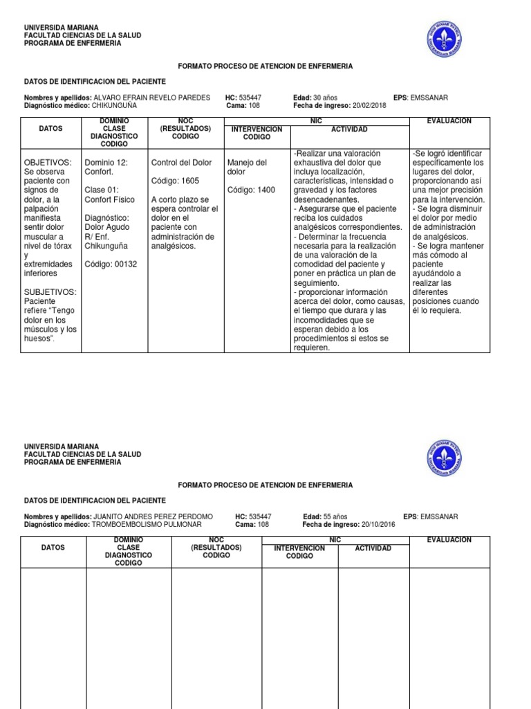 Formato PAE para Dolor Agudo en Enfermería | PDF | Dolor | Enfermería