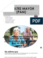 Adultez Mayor (Pam)