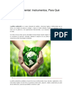 Politica Ambiental