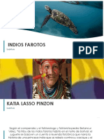 Indios Farotos