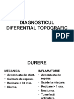 Diagnostic Diferential Topografic