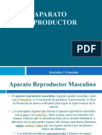 Aparato Reproductor