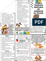 PLEGABLE CHARLA TENENCIA ADECUADA ANIMALES DE CIUDAD.pptx