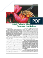 Lebh PDF